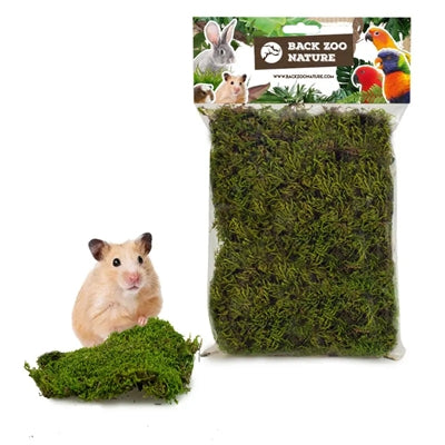 Back Zoo Nature Forest Moss