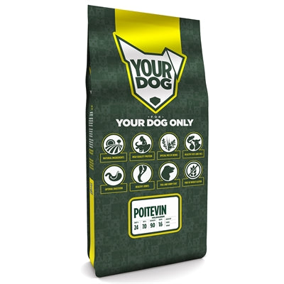 Yourdog Poitevin Volwassen