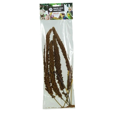 Back Zoo Nature Franse Trosgierst Rood
