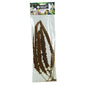 Back Zoo Nature Franse Trosgierst Rood