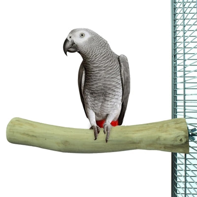 Back Zoo Nature Java Perch