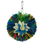 Back Zoo Nature Rainbow Star