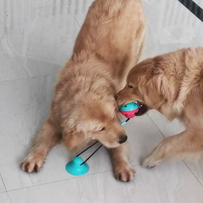 Zuignap Kauwspeelgoed voor Honden – Interactief TPR Touwspeelgoed met Tandreiniging