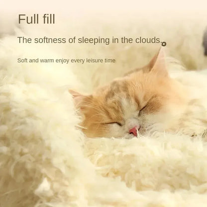 Kattenkussen knuffelbeer