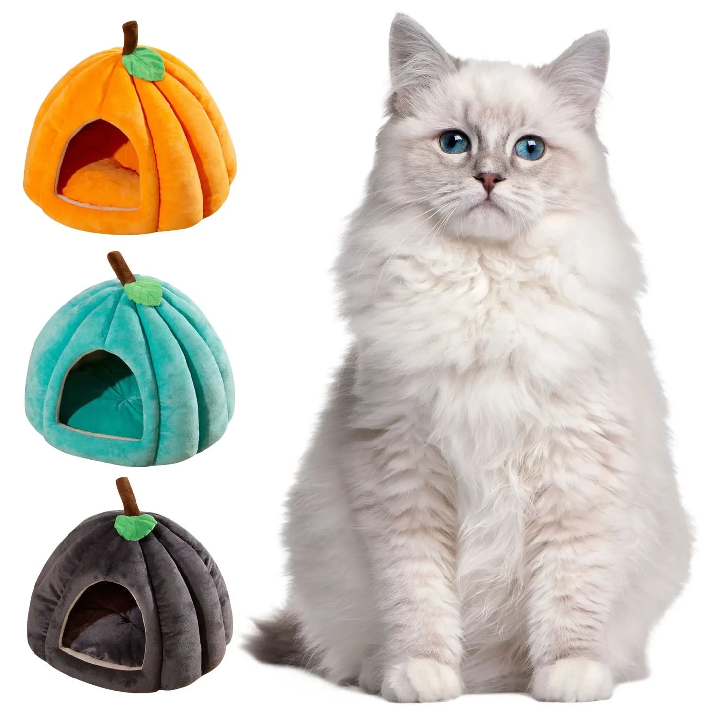 Kattenkussen Pompoen