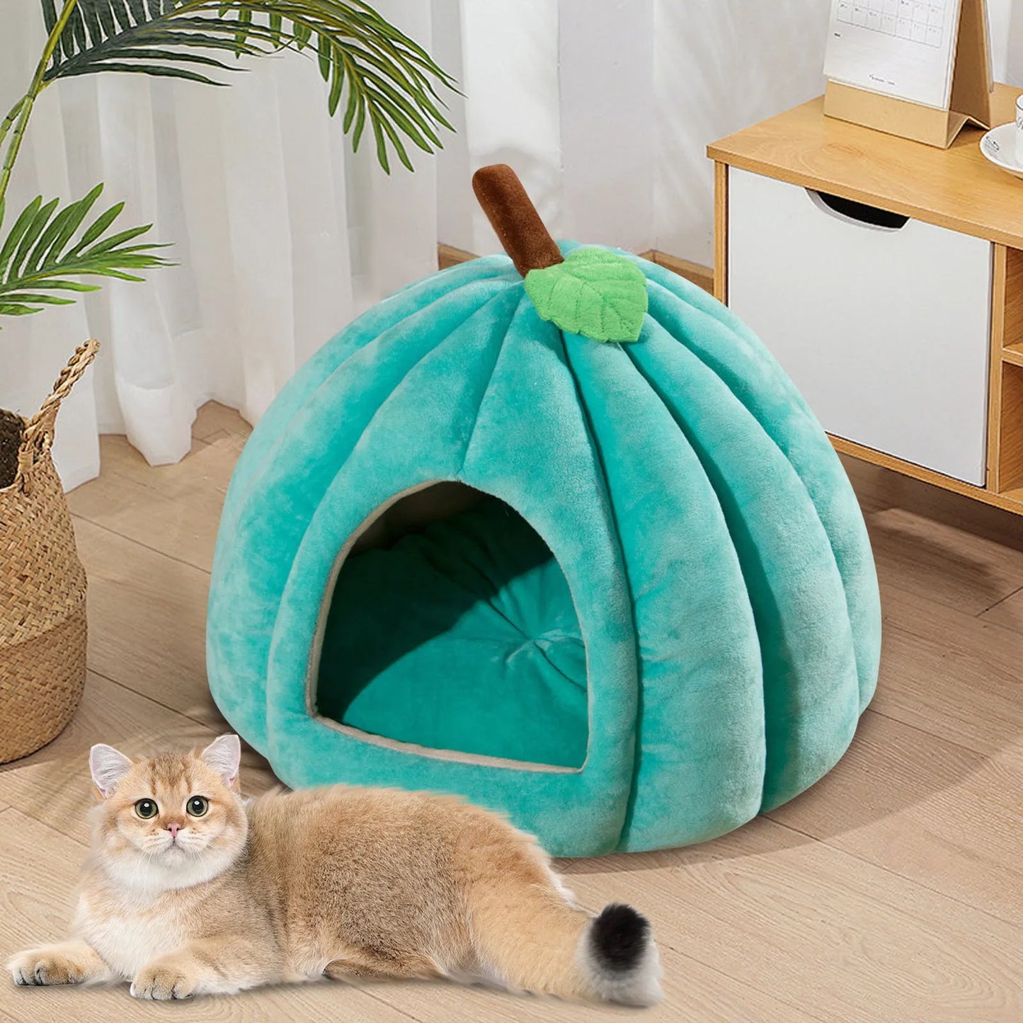 Kattenkussen Pompoen