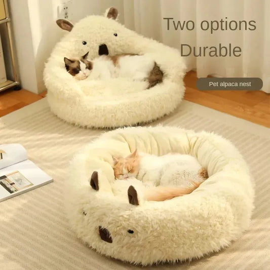 Kattenkussen knuffelbeer