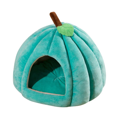 Kattenkussen Pompoen