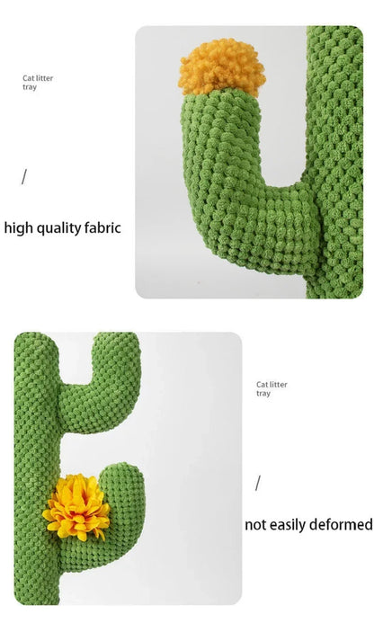 Krabpaal cactus