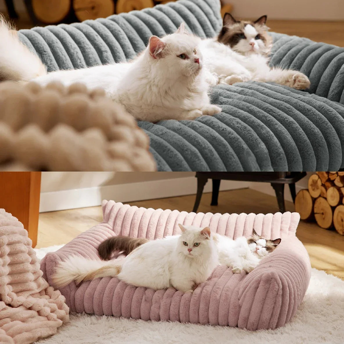 Kattenkussen bank